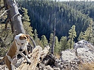 photo thumbnail #1