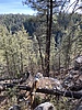 photo thumbnail #7