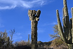 photo thumbnail #10