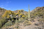 photo thumbnail #12