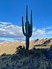 photo thumbnail #10