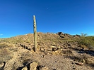 photo thumbnail #14