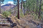 photo thumbnail #5