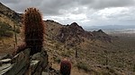 photo thumbnail #6