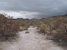 photo thumbnail #1