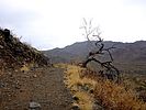 photo thumbnail #6