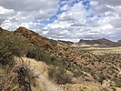 photo thumbnail #2