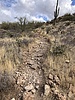 photo thumbnail #7