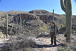 photo thumbnail #4