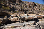 photo thumbnail #6