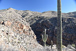 photo thumbnail #8