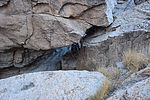 photo thumbnail #14
