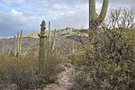 photo thumbnail #3