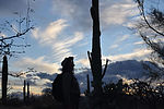 photo thumbnail #13
