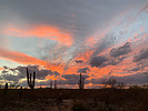 photo thumbnail #14