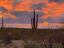 photo thumbnail #15