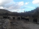 photo thumbnail #14