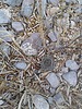 photo thumbnail #15