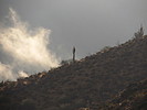 photo thumbnail #13
