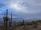 photo thumbnail #2