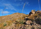 photo thumbnail #5