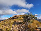 photo thumbnail #9