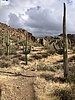 photo thumbnail #4