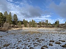 photo thumbnail #2