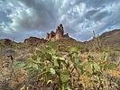 photo thumbnail #3