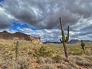 photo thumbnail #10