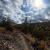 photo thumbnail #9