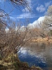 photo thumbnail #10