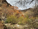 recent photo