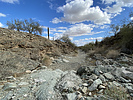 photo thumbnail #3