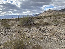 photo thumbnail #11