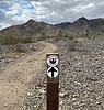 photo thumbnail #14