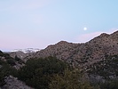 photo thumbnail #2