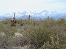 photo thumbnail #1