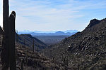 photo thumbnail #8