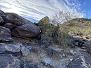 photo thumbnail #9