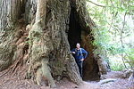 recent photo
