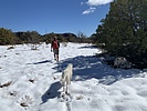 photo thumbnail #5