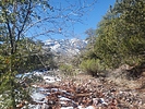 photo thumbnail #7