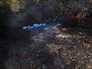 photo thumbnail #2