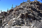 photo thumbnail #8