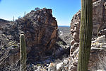 photo thumbnail #13