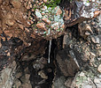 photo thumbnail #14