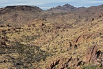 photo thumbnail #5
