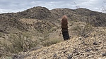 photo thumbnail #2
