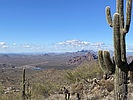 photo thumbnail #8